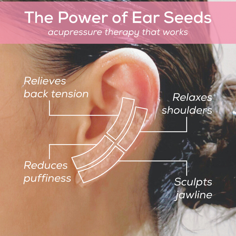 Ear Seed Acupressure Patch Kit