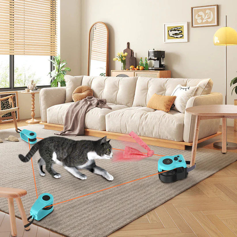 Cat chasing toys