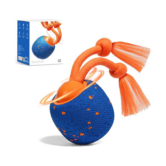 Smart interactive dog toys