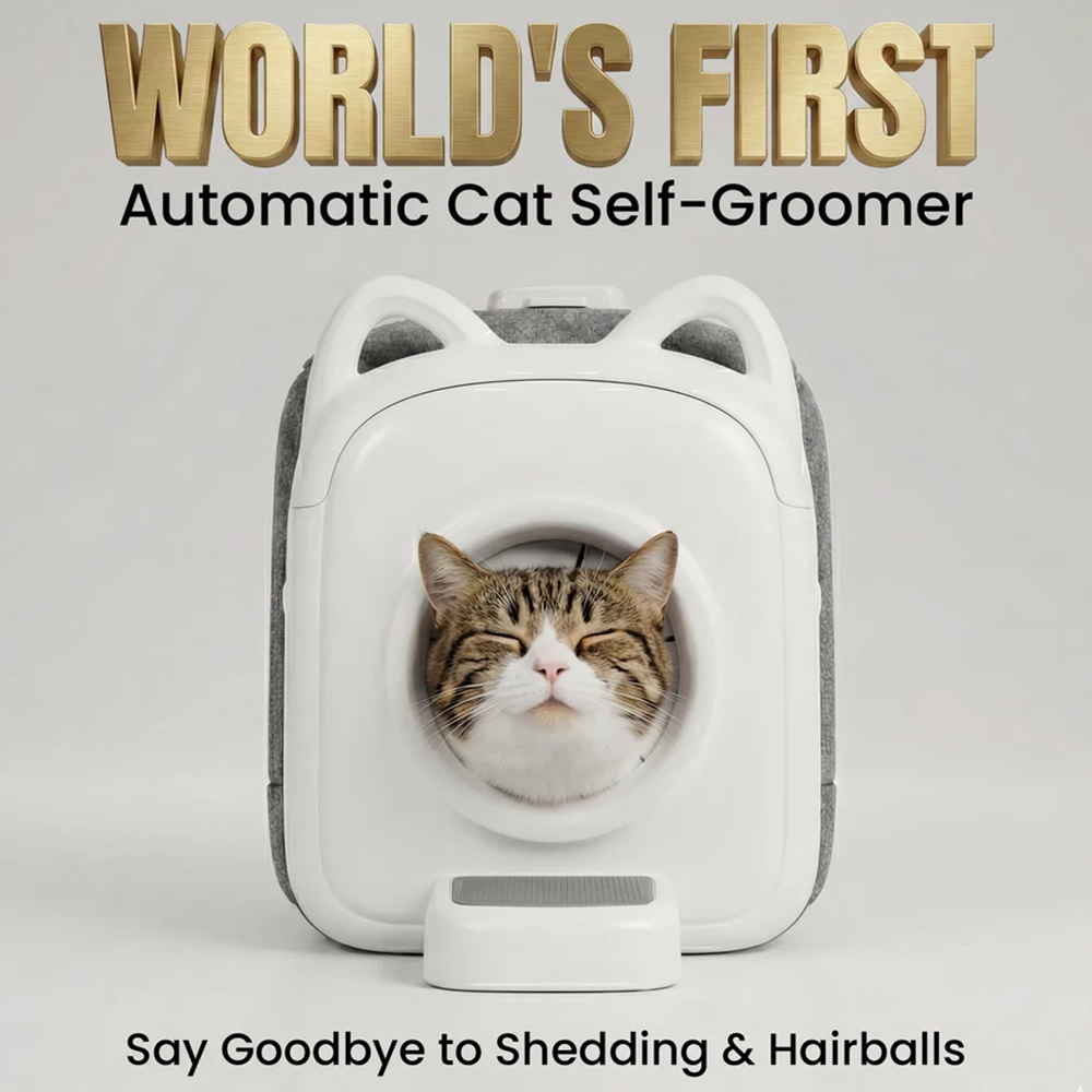 Cat self-grooming device