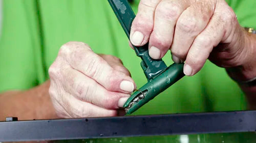 Minnow Bucket with Minnow Catch System