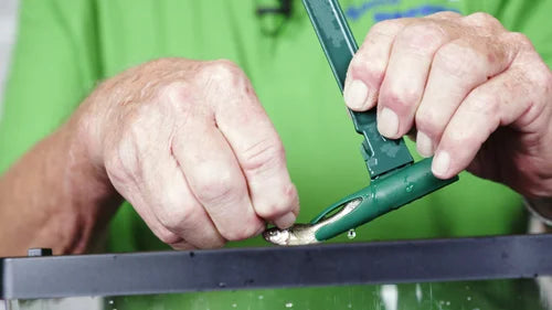 Minnow Bucket with Minnow Catch System