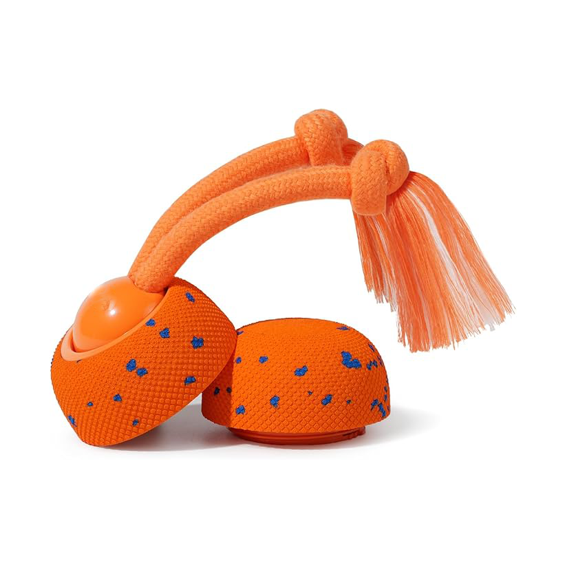 Smart interactive dog toys