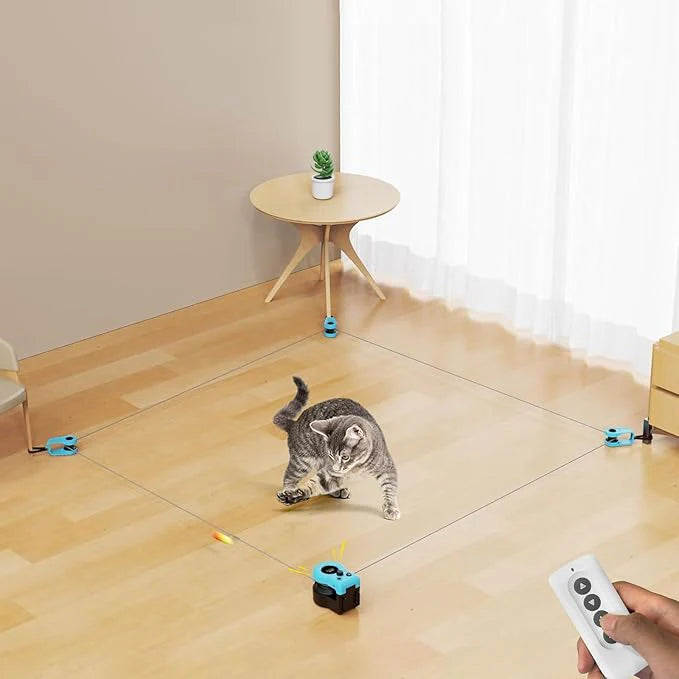 Cat chasing toys