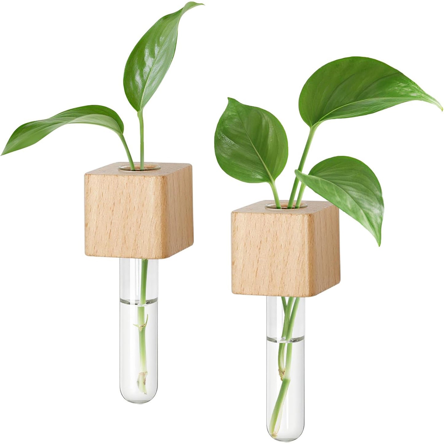 Magnetic Test Tube Vases for Refrigerator, Wooden Fridge Planters with Glass Tubes