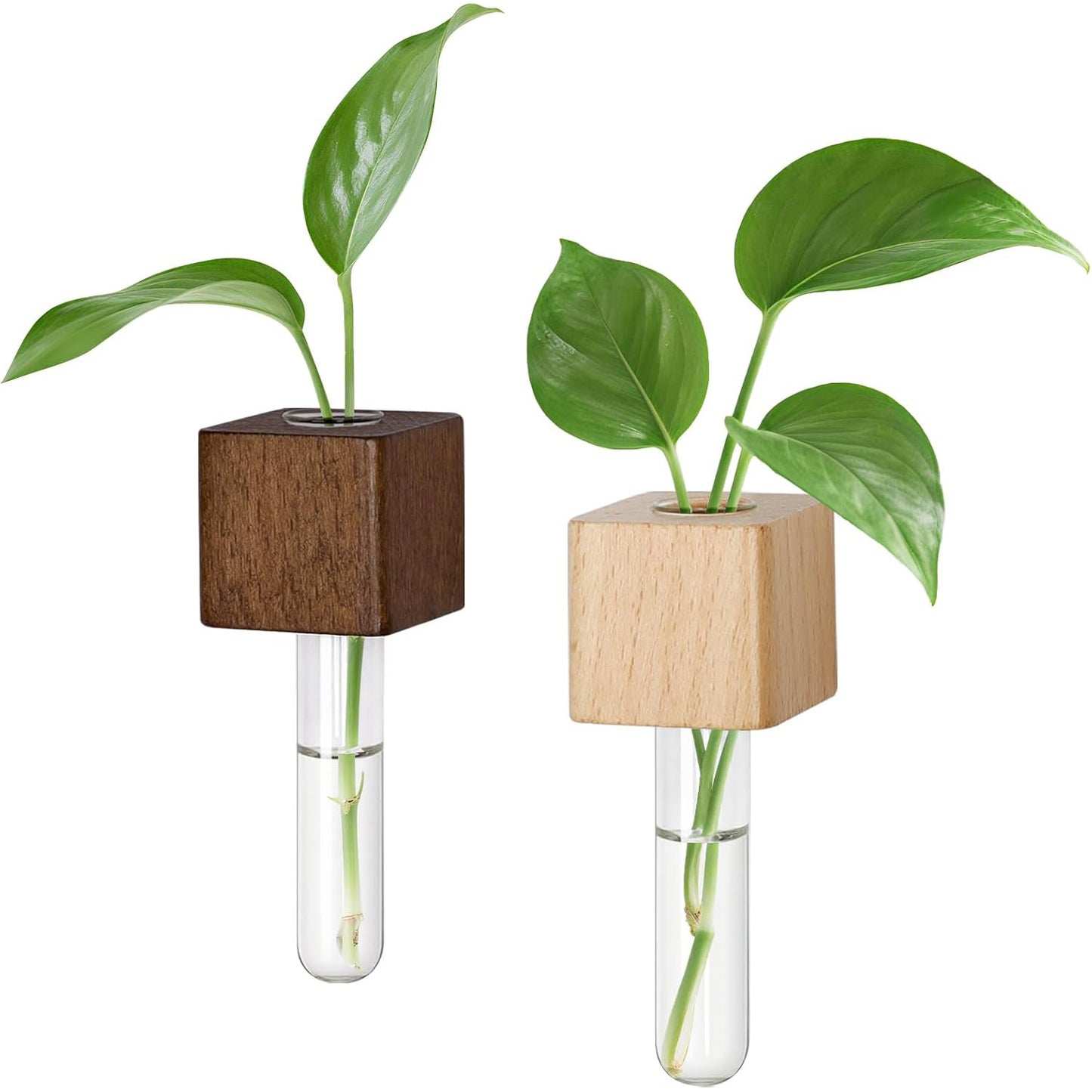 Magnetic Test Tube Vases for Refrigerator, Wooden Fridge Planters with Glass Tubes