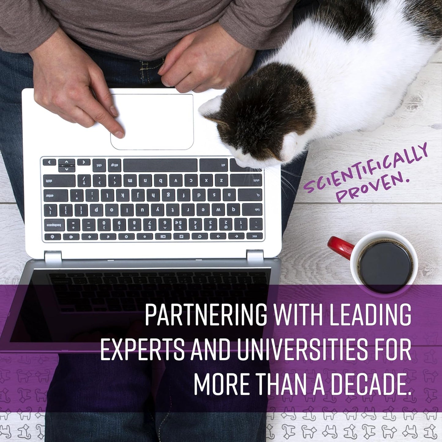 Calming Collar for Cats, Long-Lasting Pheromone Collar to Calm Cats for 30 Days