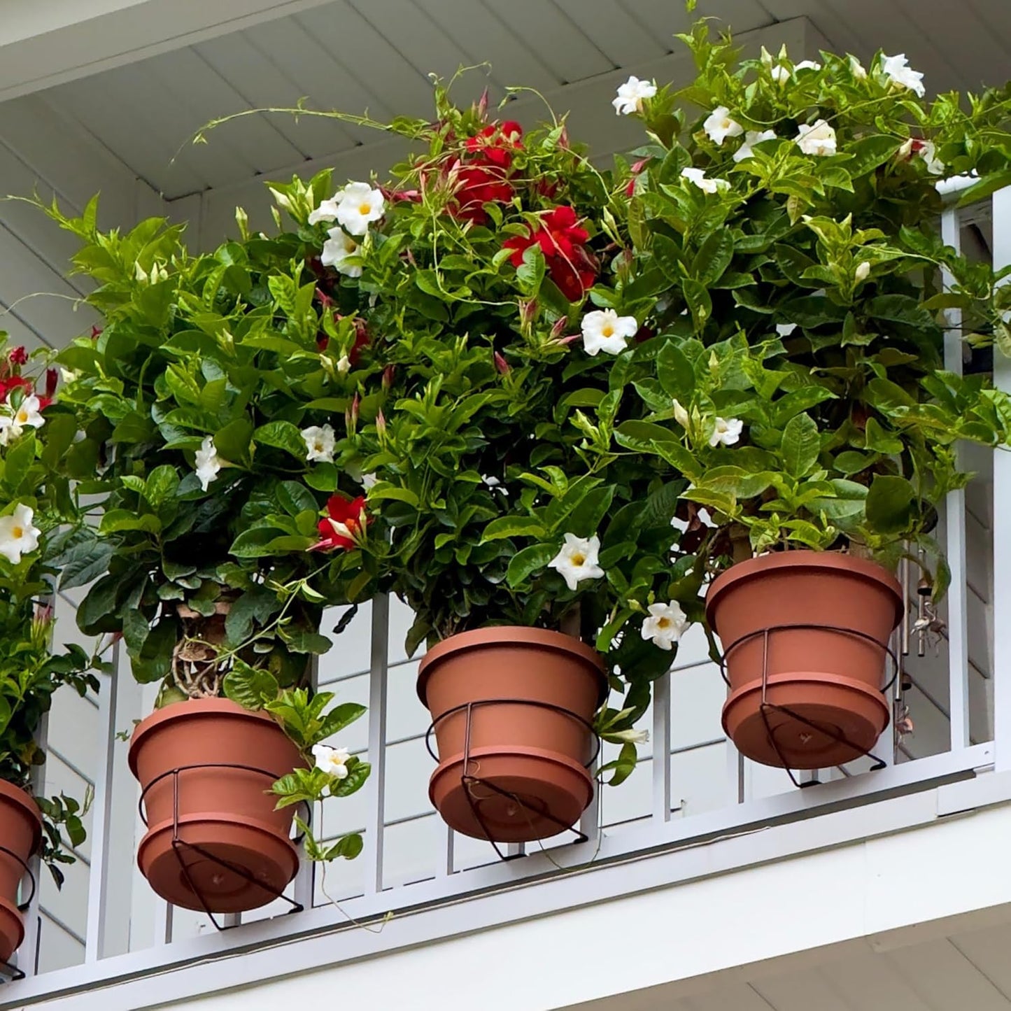 Floating Planter Clips – Adjustable Railing Hooks for Vertical Garden (3-Pack)