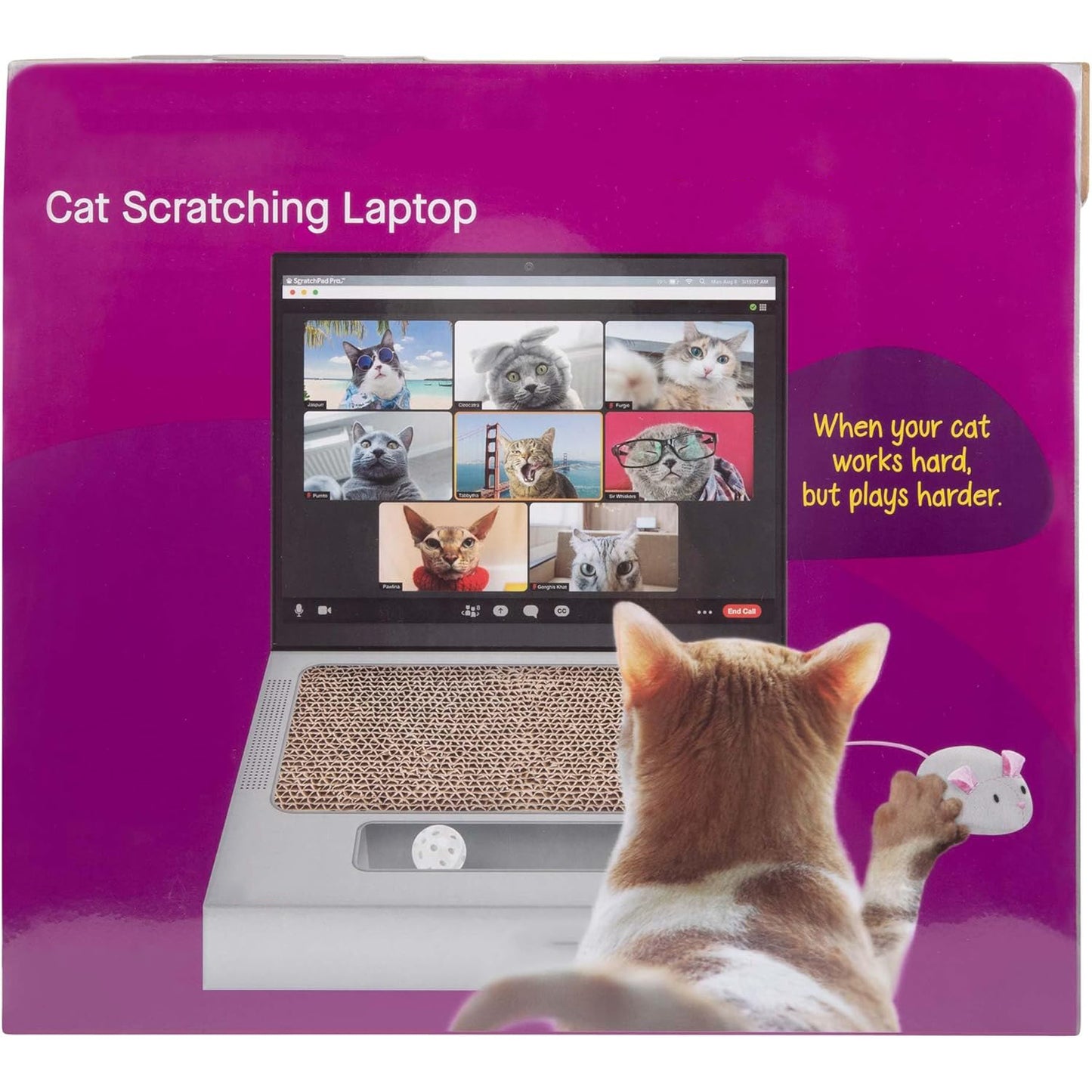 Laptop Cat Scratcher – Unique 3-in-1 Cat Toy with Stickers for Interactive Play