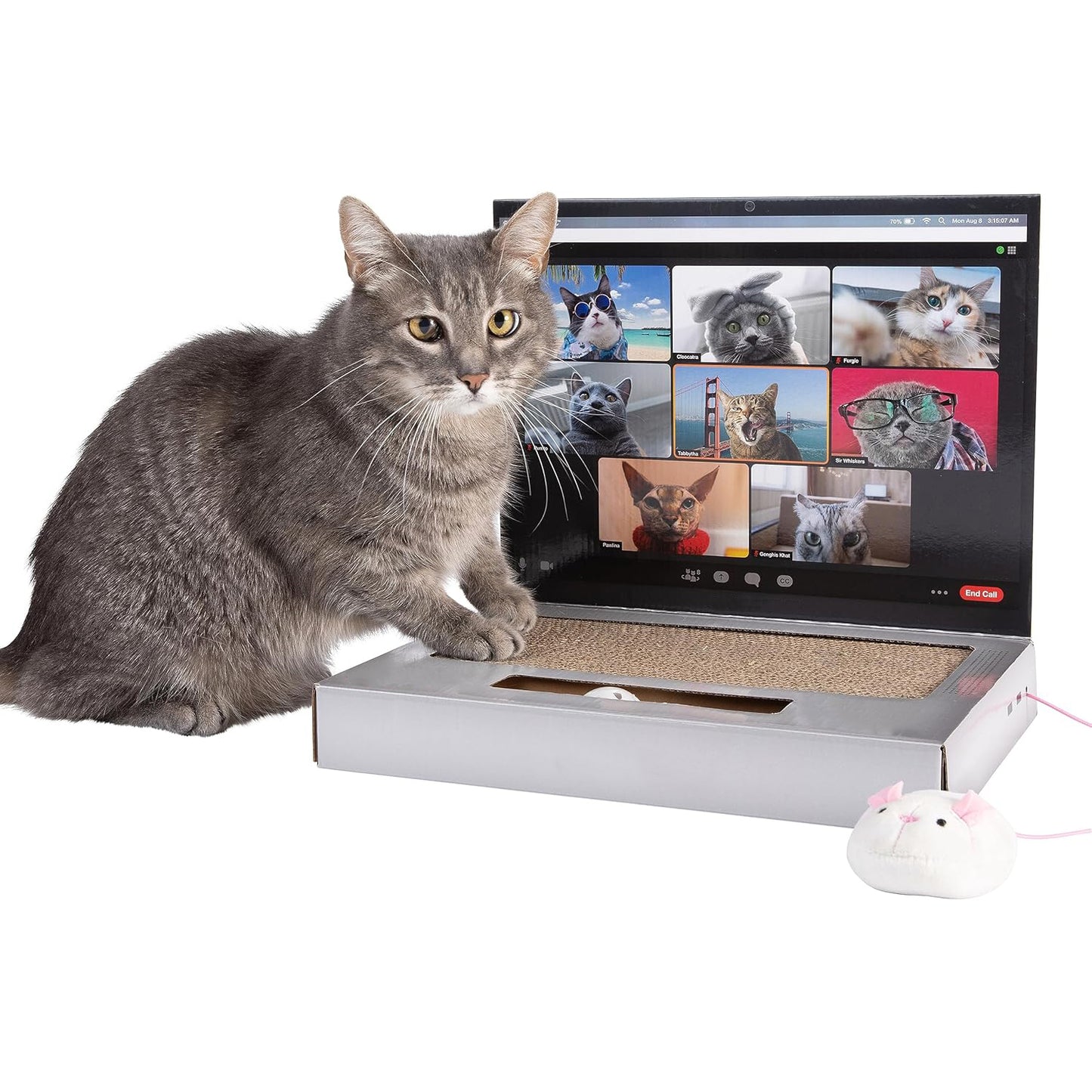 Laptop Cat Scratcher – Unique 3-in-1 Cat Toy with Stickers for Interactive Play
