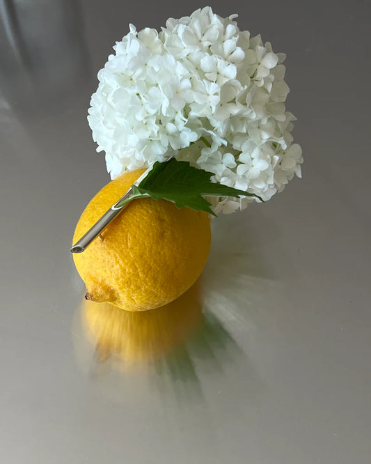 The Ephemeral Brooch — A Wearable Meditation on Impermanence with Real Flowers