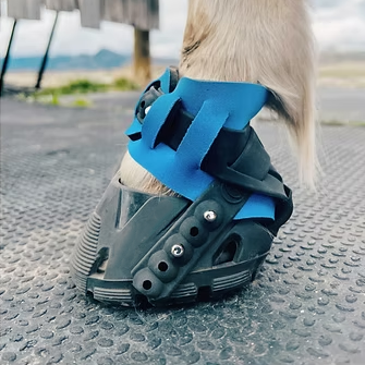 Flexible Hoof Boots – Lightweight Barefoot-Style Protection for Horses