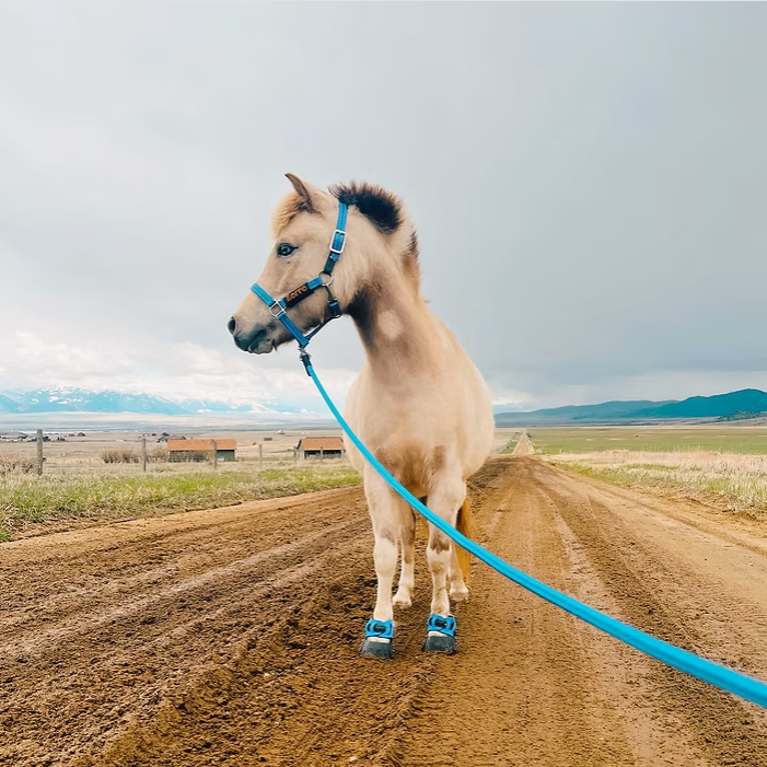 Flexible Hoof Boots – Lightweight Barefoot-Style Protection for Horses
