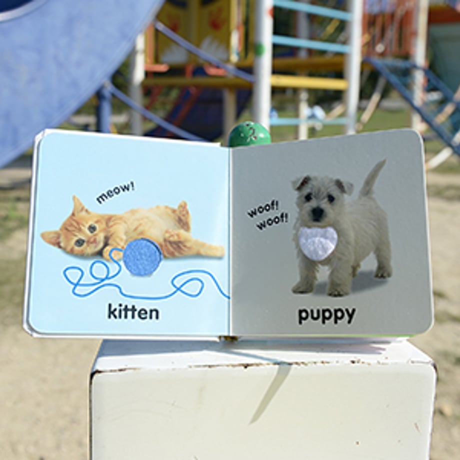 Baby Touch and Feel: Animals – Interactive Board Book for Early Learning