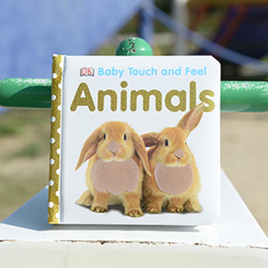 Baby Touch and Feel: Animals – Interactive Board Book for Early Learning