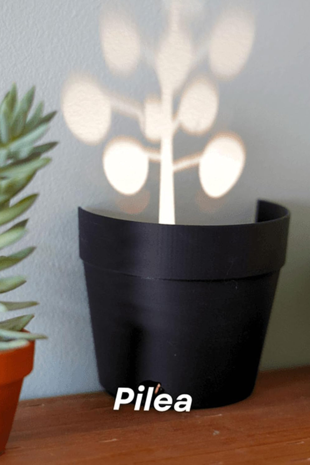 Light Projection Planter — 3D-Printed Creative Shadow &amp; Light Flower Pot