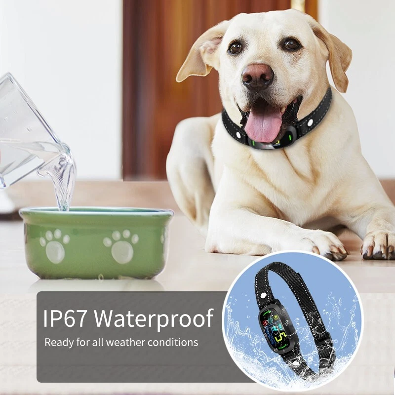 Automatic Dog Anti-Bark Collar | Waterproof Bark Control with Smart Training Features