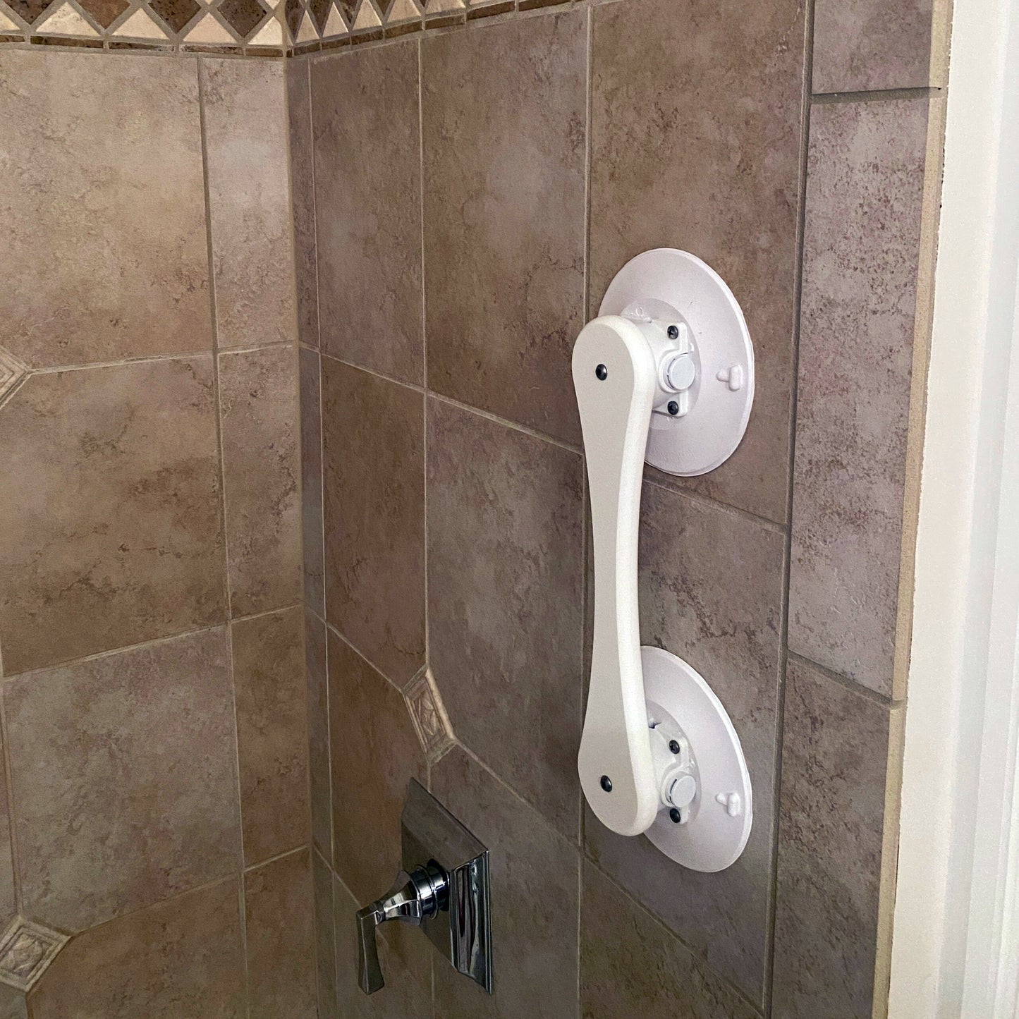 Heavy-Duty Vacuum Mount Handle with Dual 6" Mounts